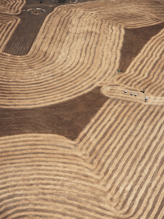 Harvesting wheat near Wagin, Western Australia, 2005.