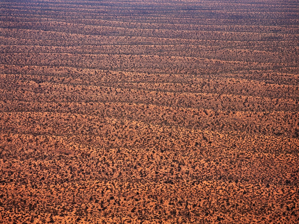 Victoria Desert, South Australia, 2000.