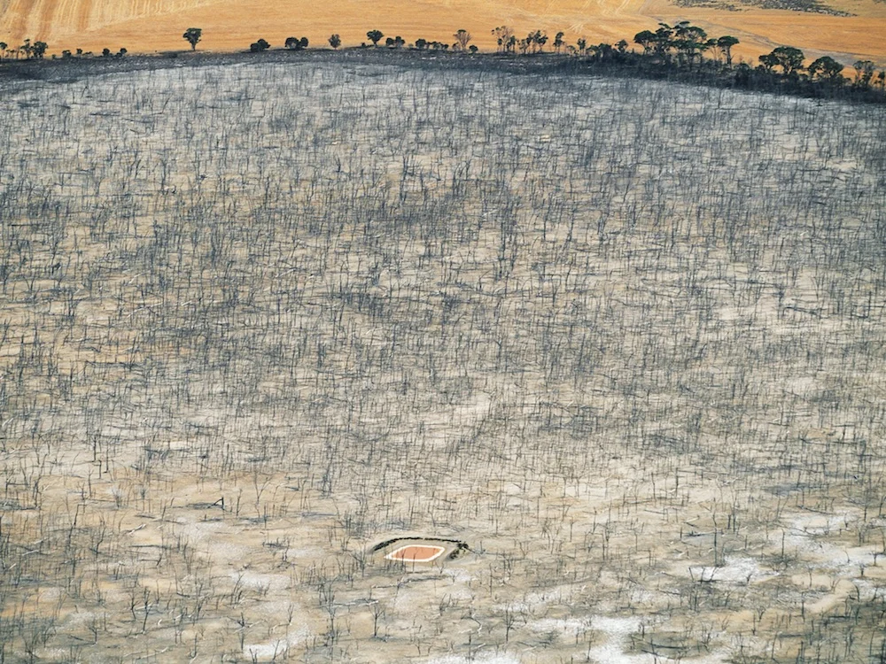 Saltwater affected dam, Wagin, Western Australia, 1998.