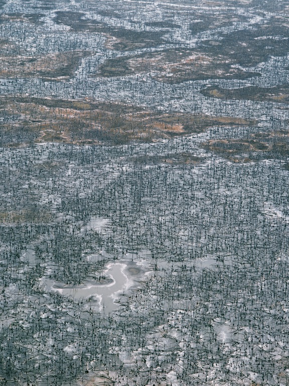 Dead trees on a flood plain, Northern Territory, 1998.