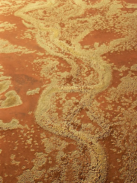 Spinifex, Pilbara, Western Australia, 1990.