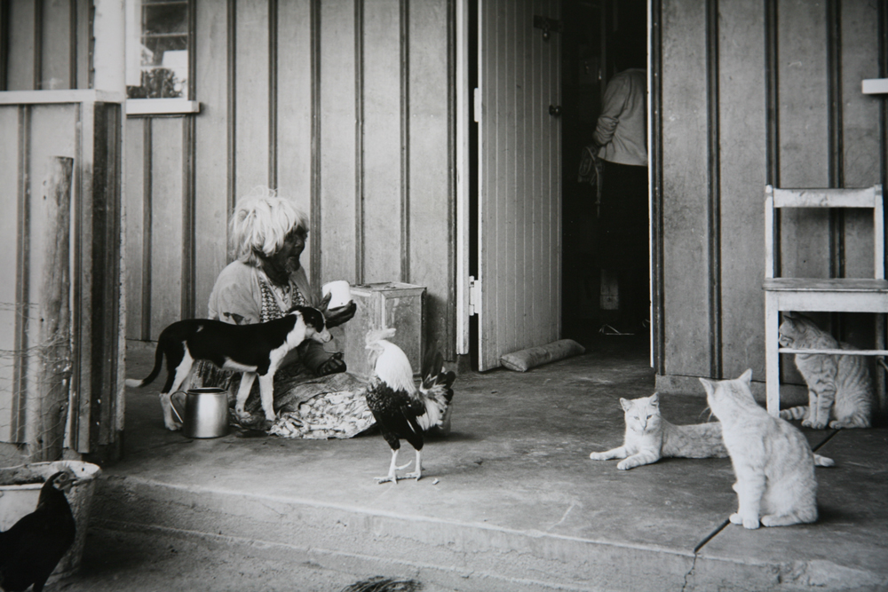 Aboriginal Government Housing, Carnarvon WA, 1965