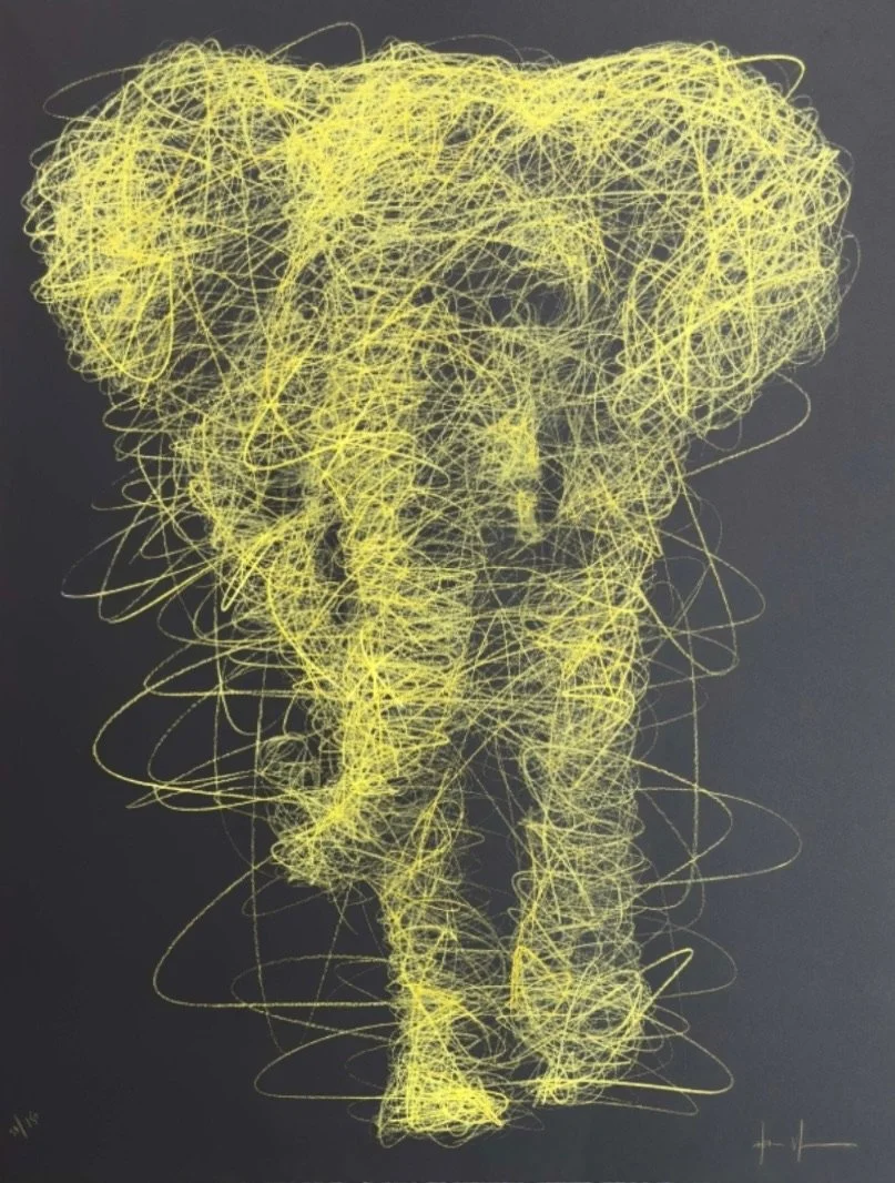 IMG_5087.jpeg (copie)