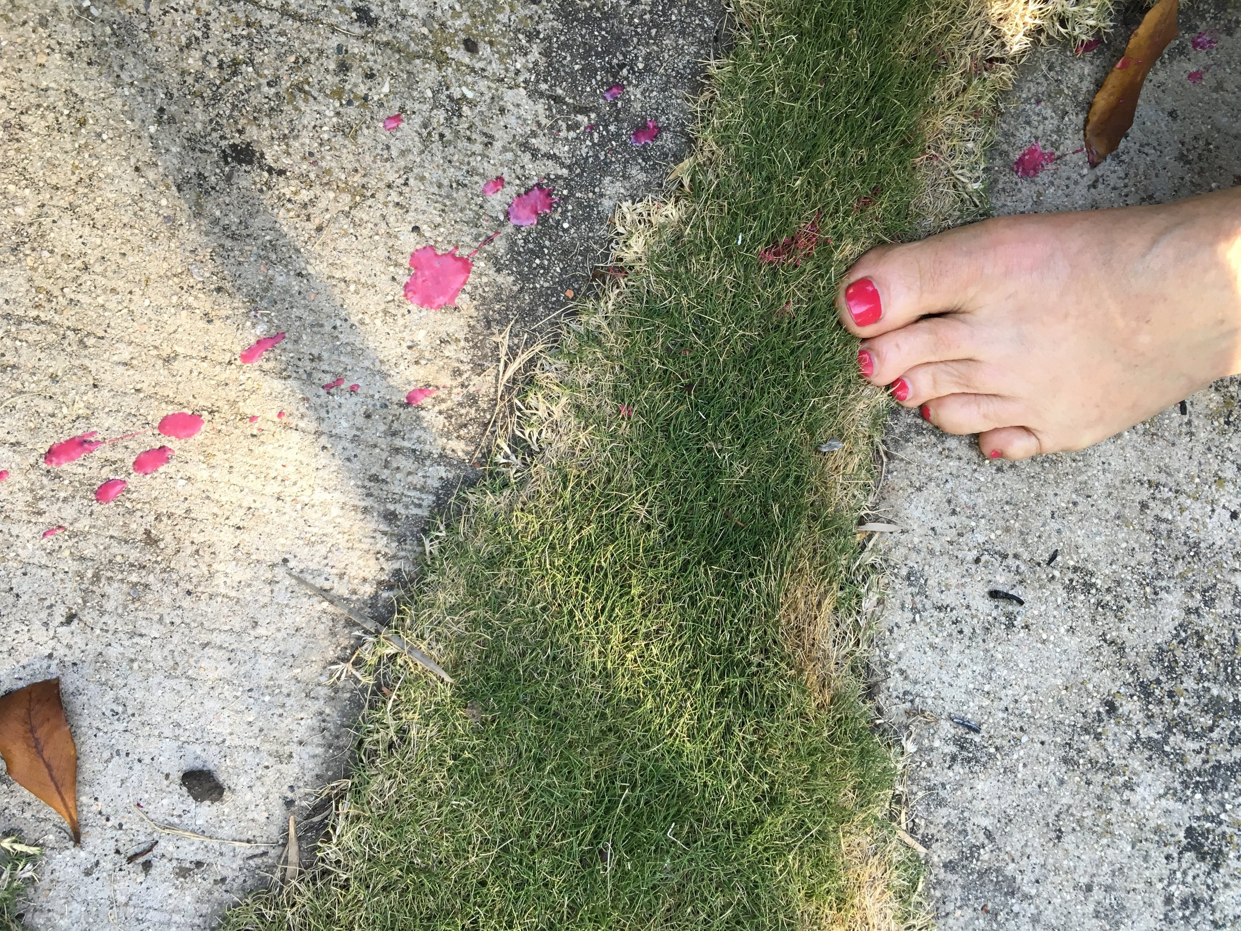 toe-nails-celeste-goyer.JPG