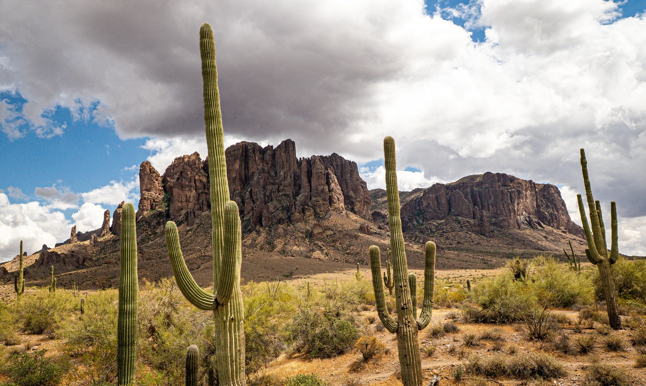 Lost Dutchman Park