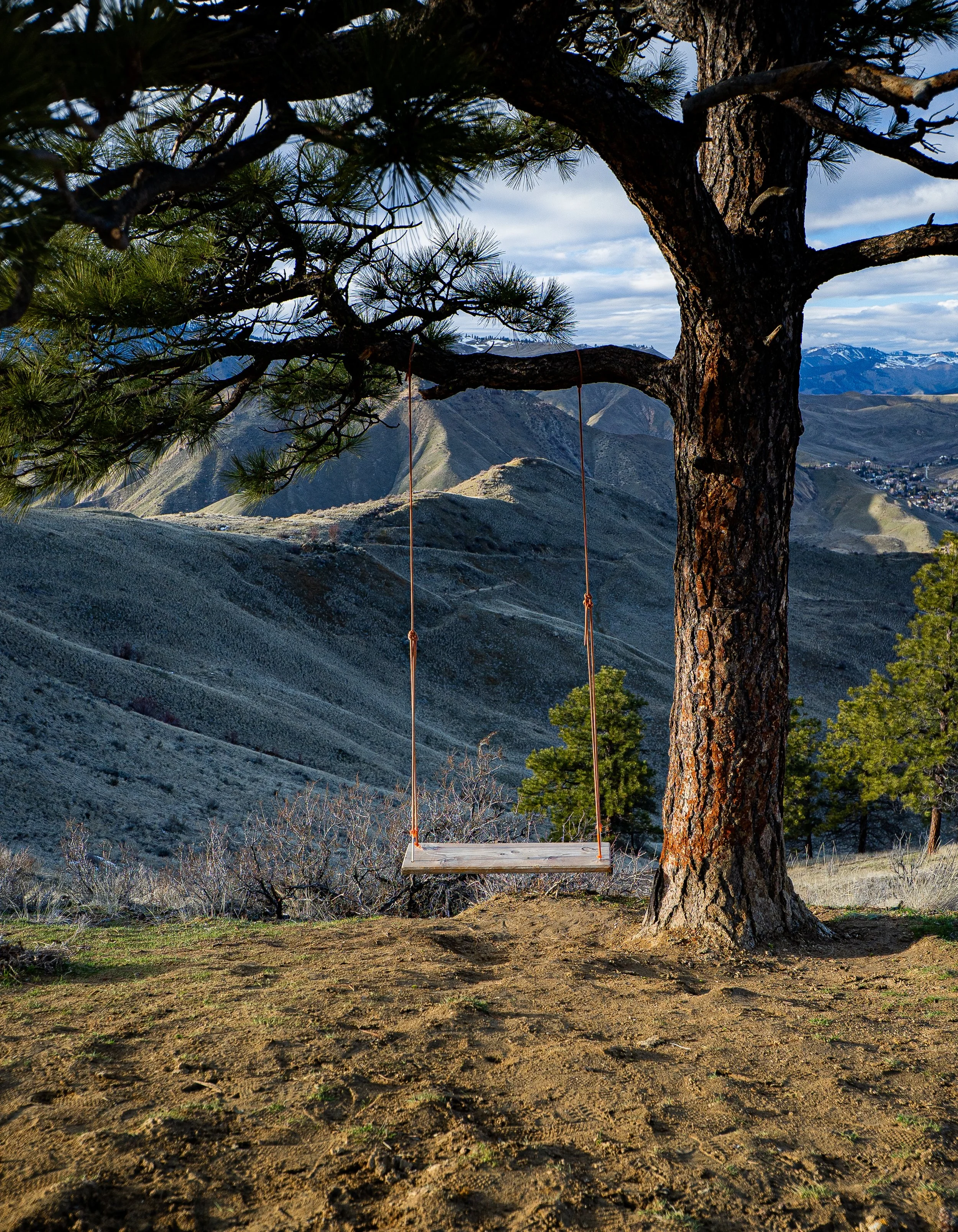 DSC01391.jpg