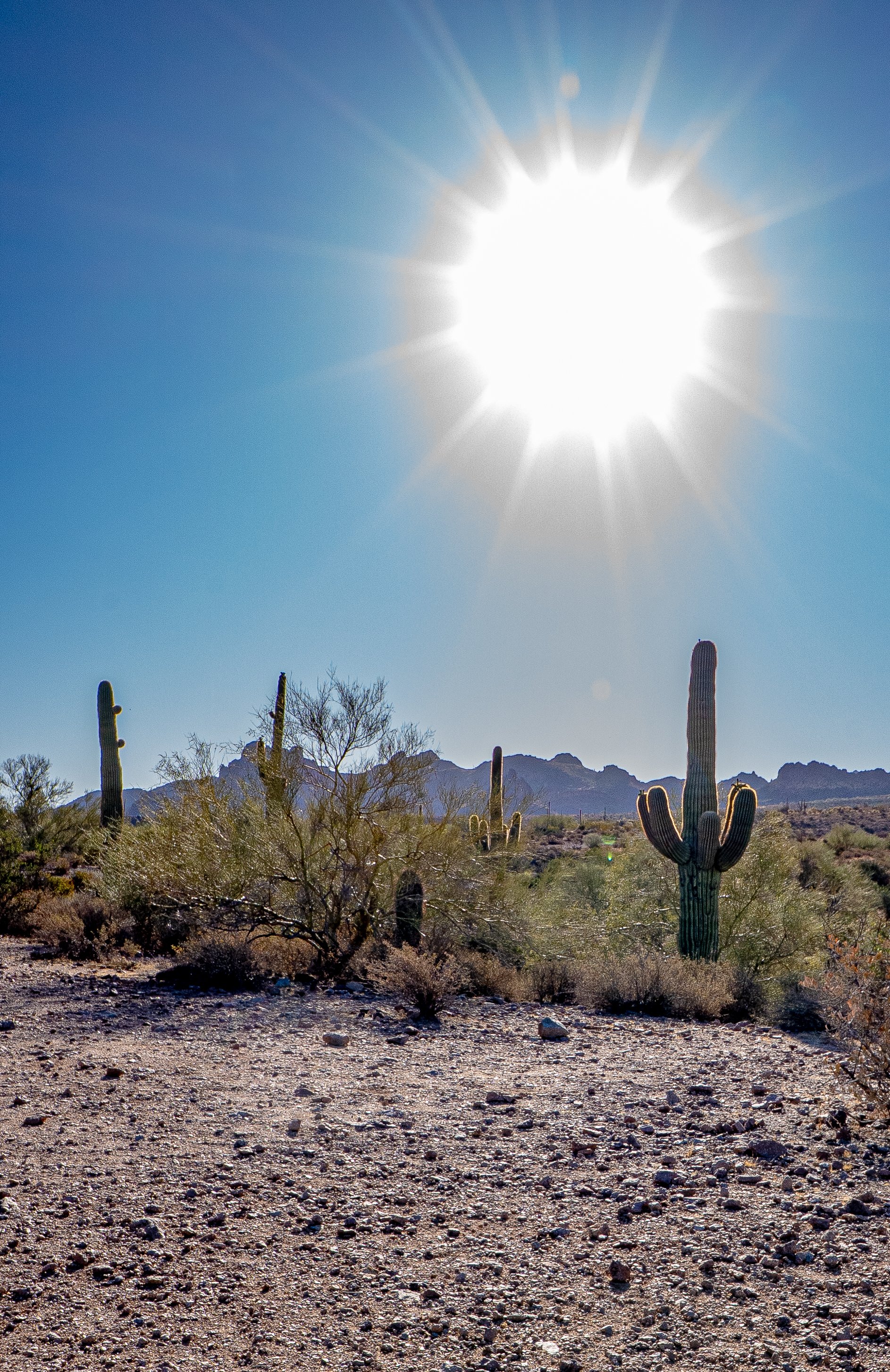 The Desert