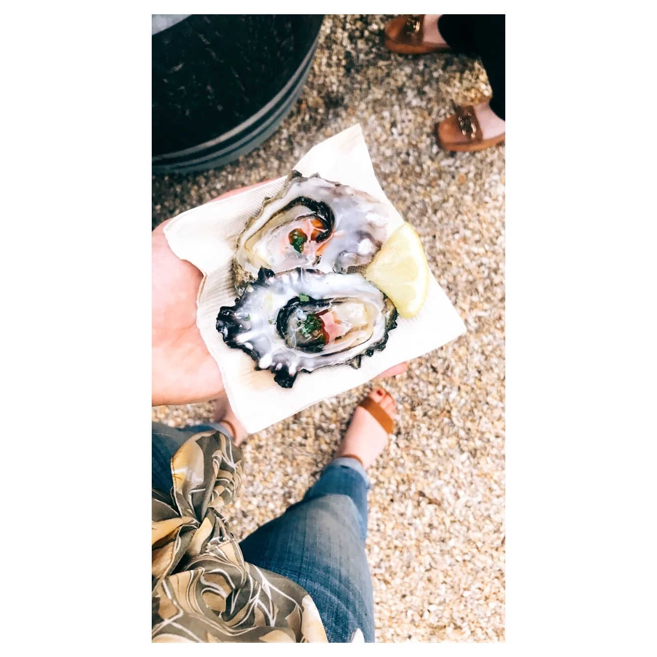 considering the oyster