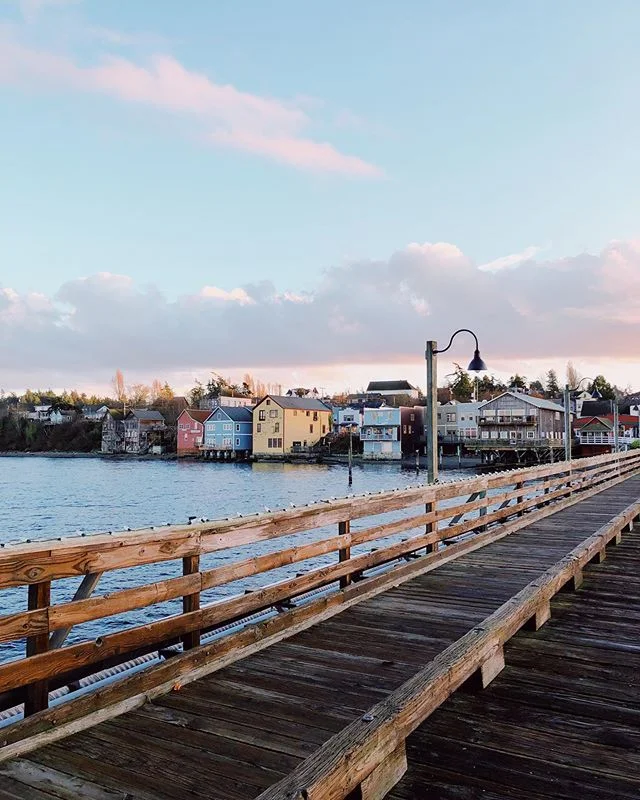 PNW weekend full of natural wines, ferry boats, fall walks, all the coffee &amp; good friends ✨