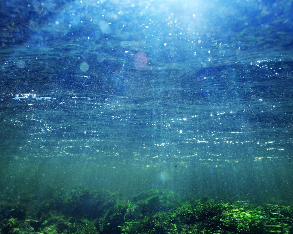 EA Definicao1000x800 2.png