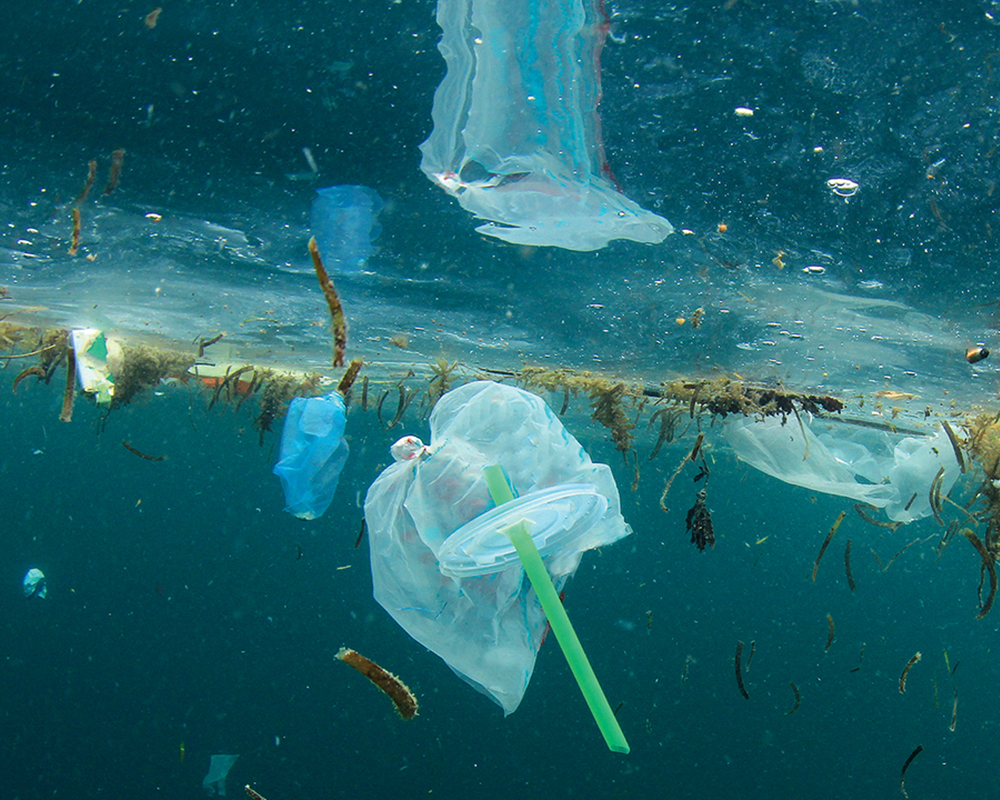 EA Poluicao1000x800 1.png