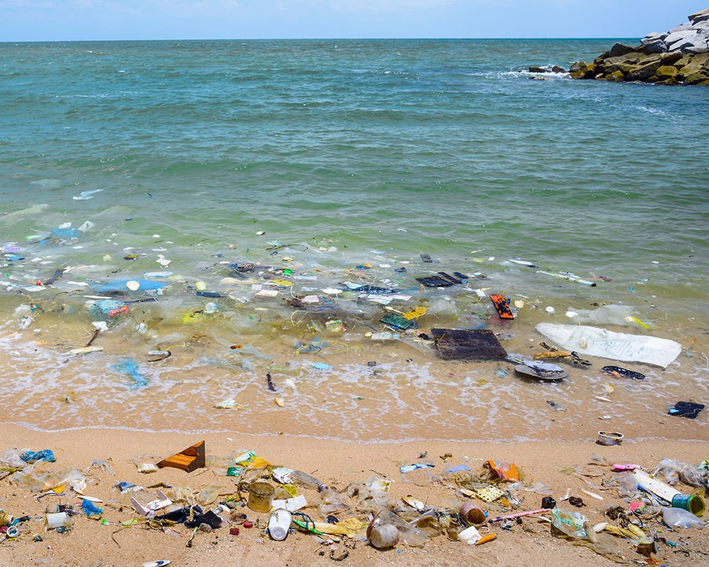 EA Poluicao1000x800 3.png