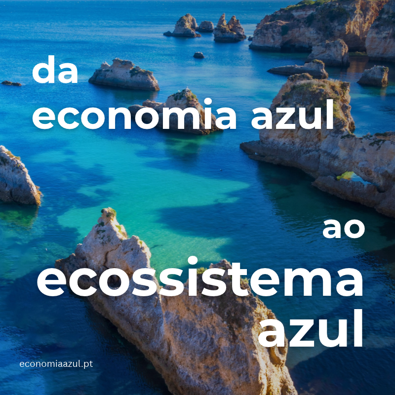 Ecossistema Azul  800 x 800.png
