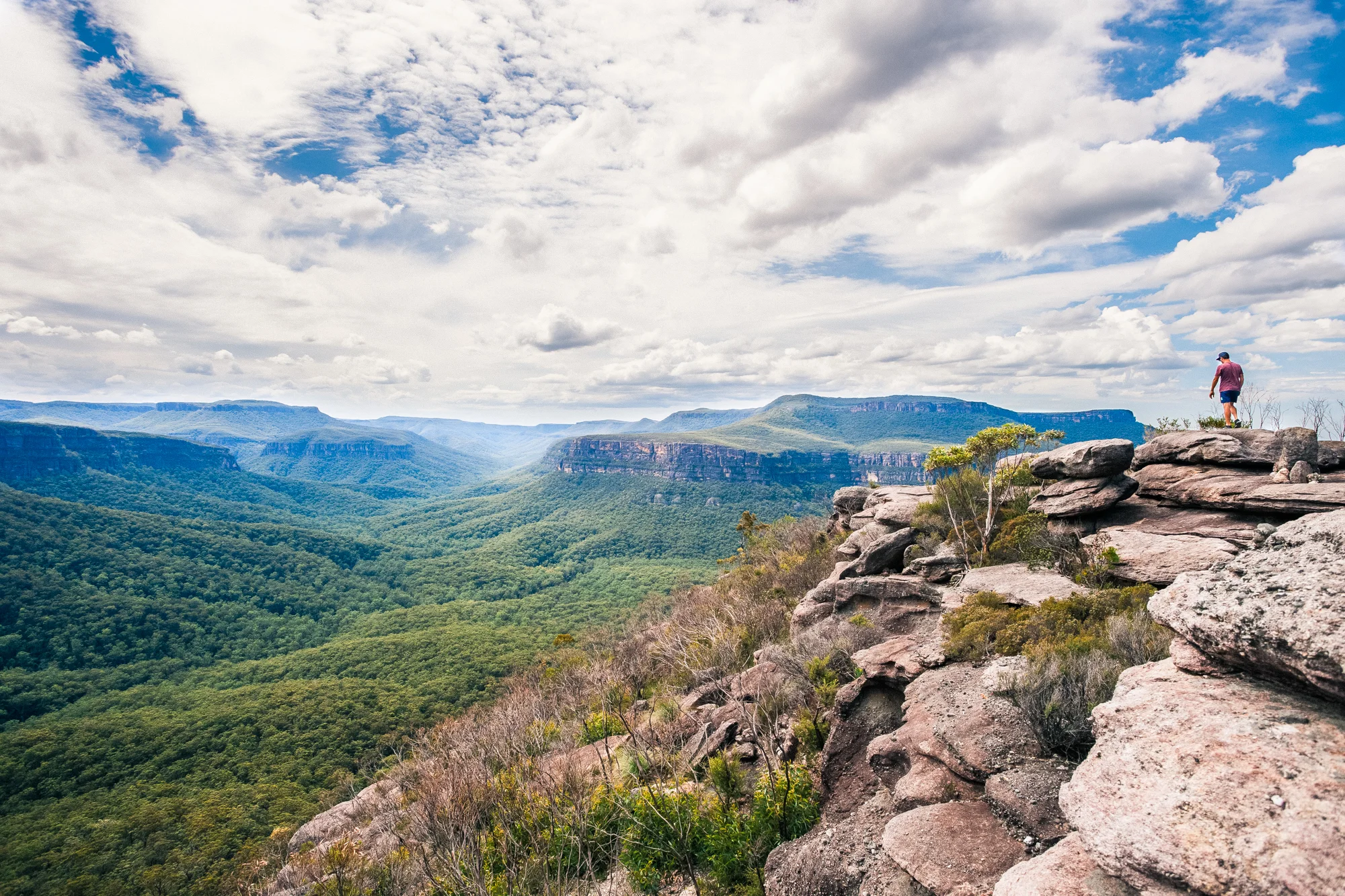 guided hikes