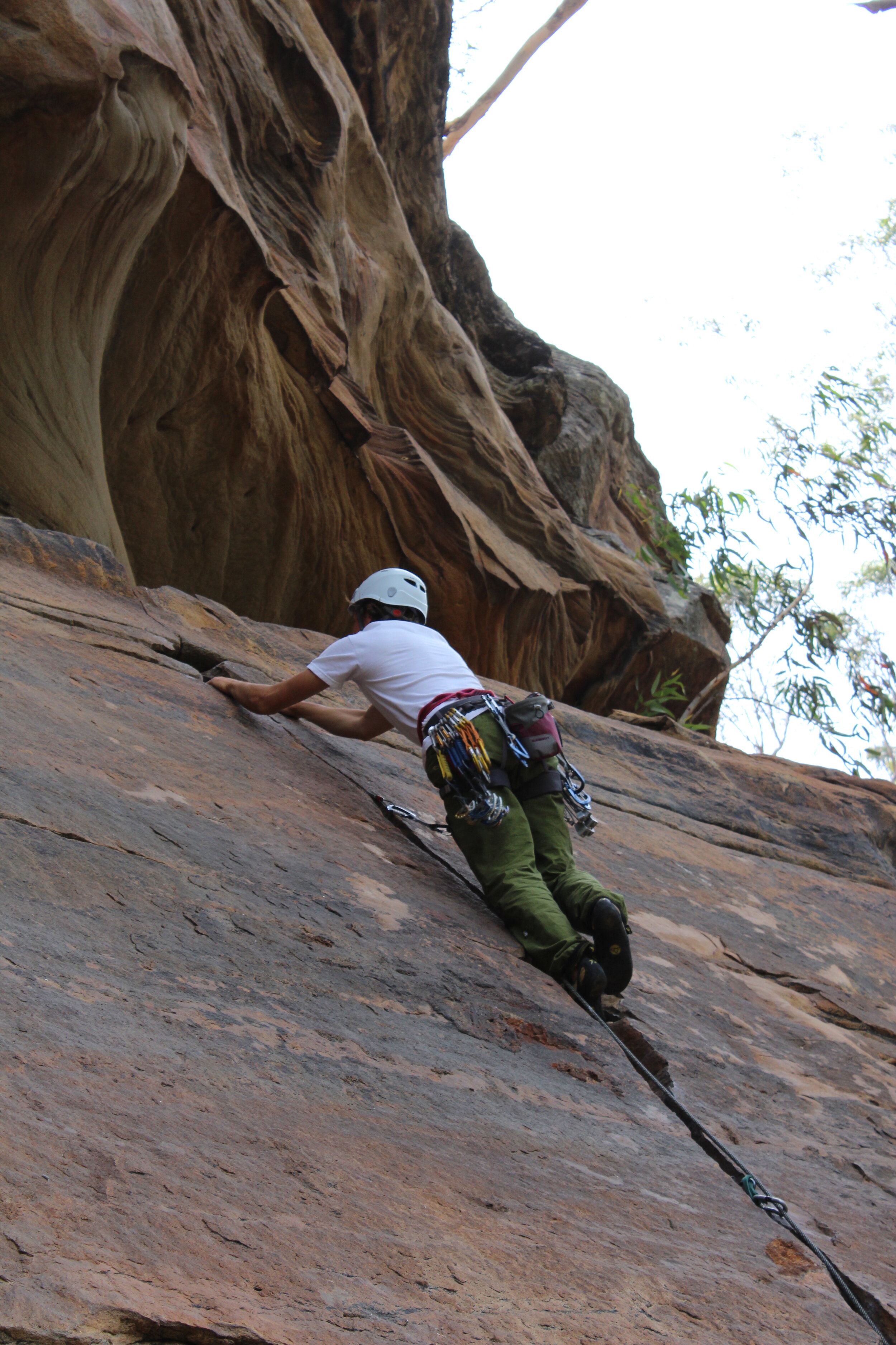 sherwood forests 326.JPG