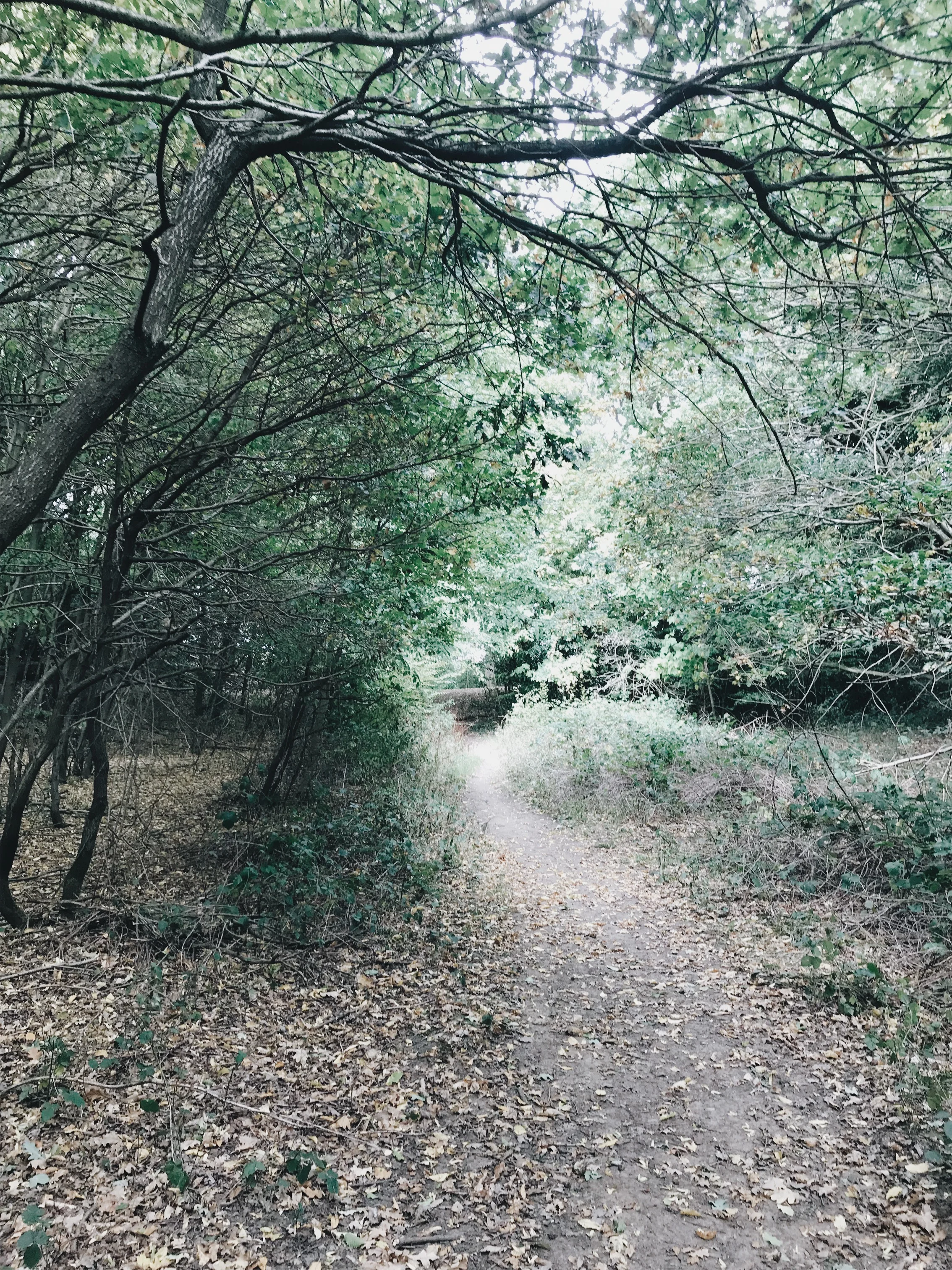 JPEG image-62D53E4C7A1D-1.jpeg