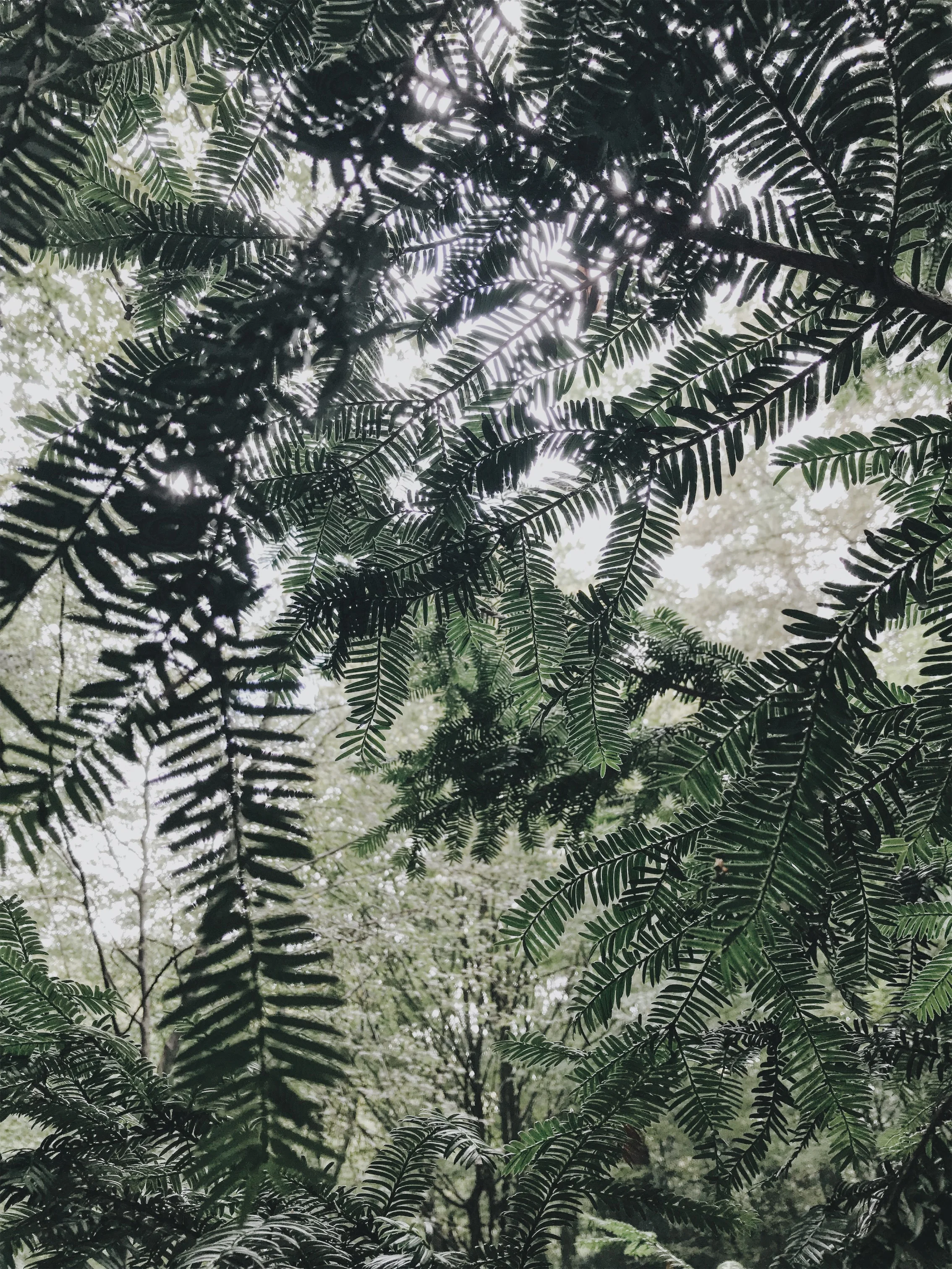 JPEG image-62D53E4C7A1D-5.jpeg