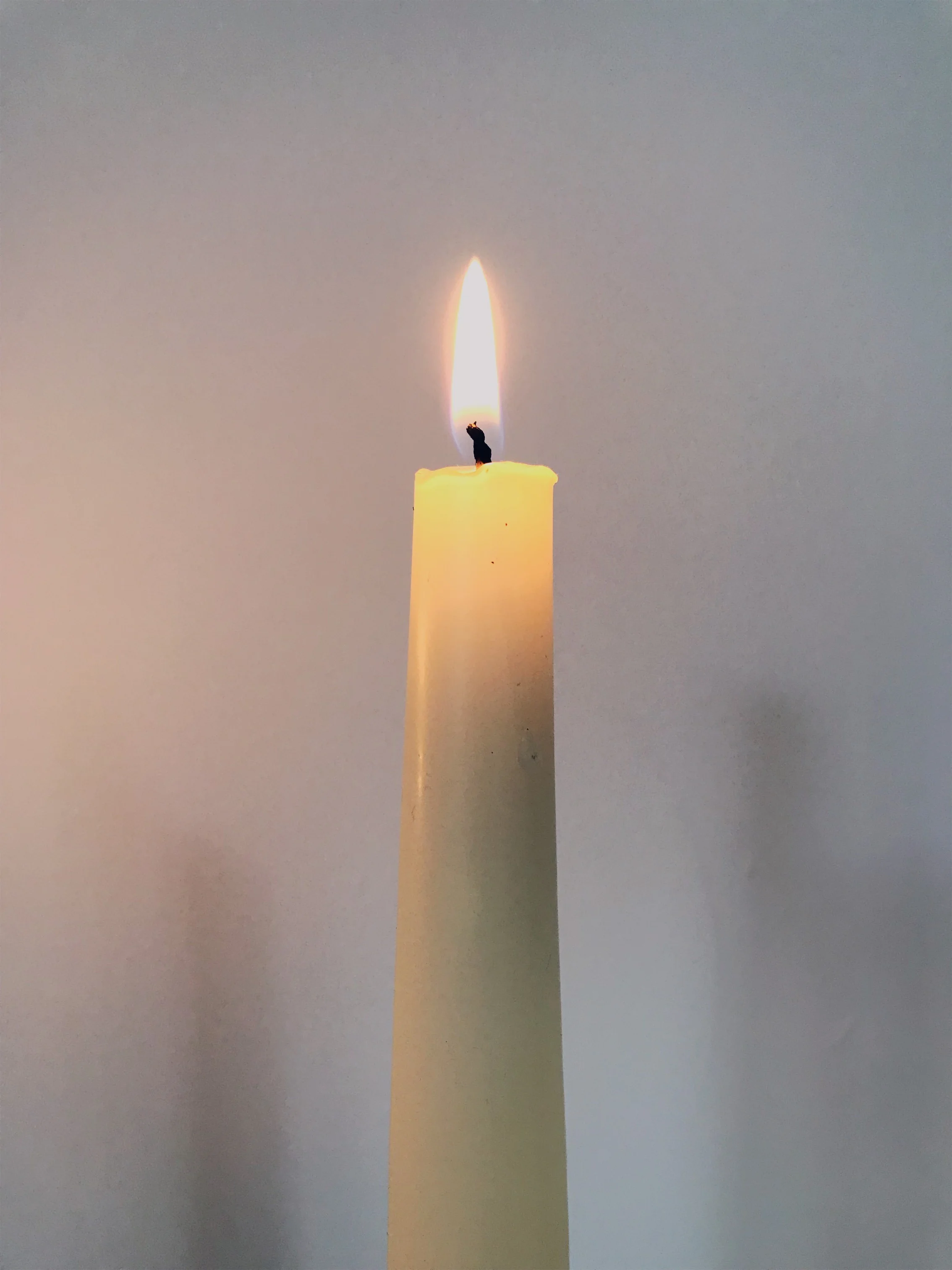JPEG image-35C53FA98312-2.jpeg