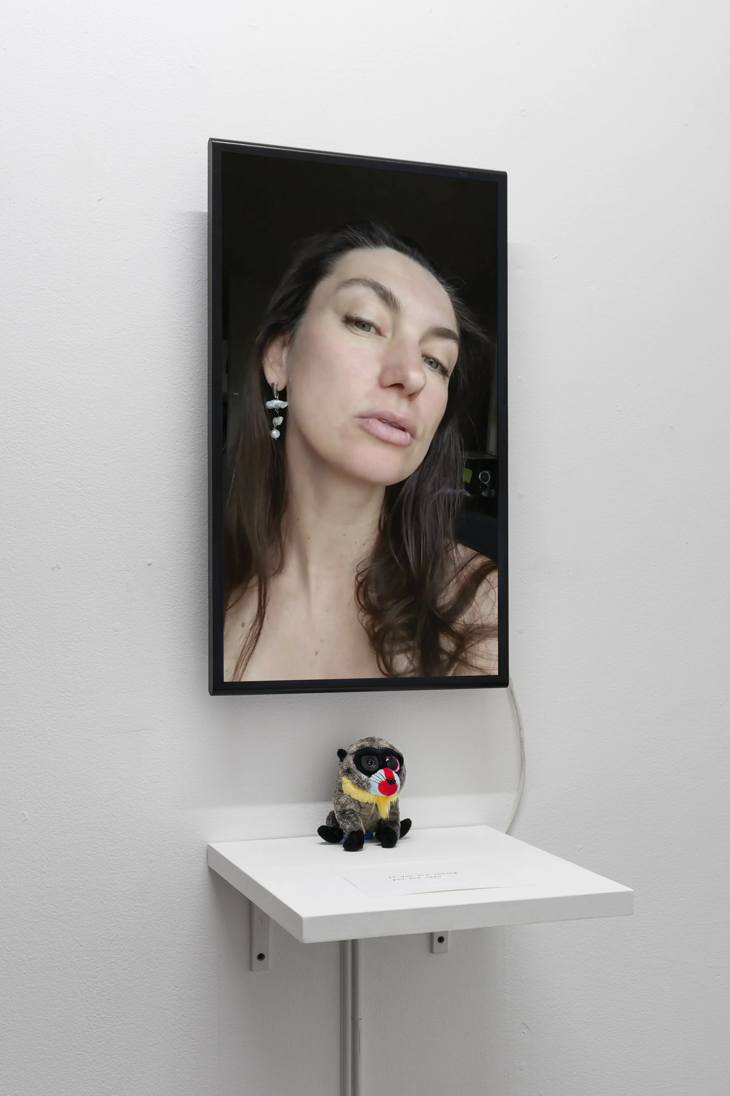 Anna Iau, Third Space Residency exhibition (2020)