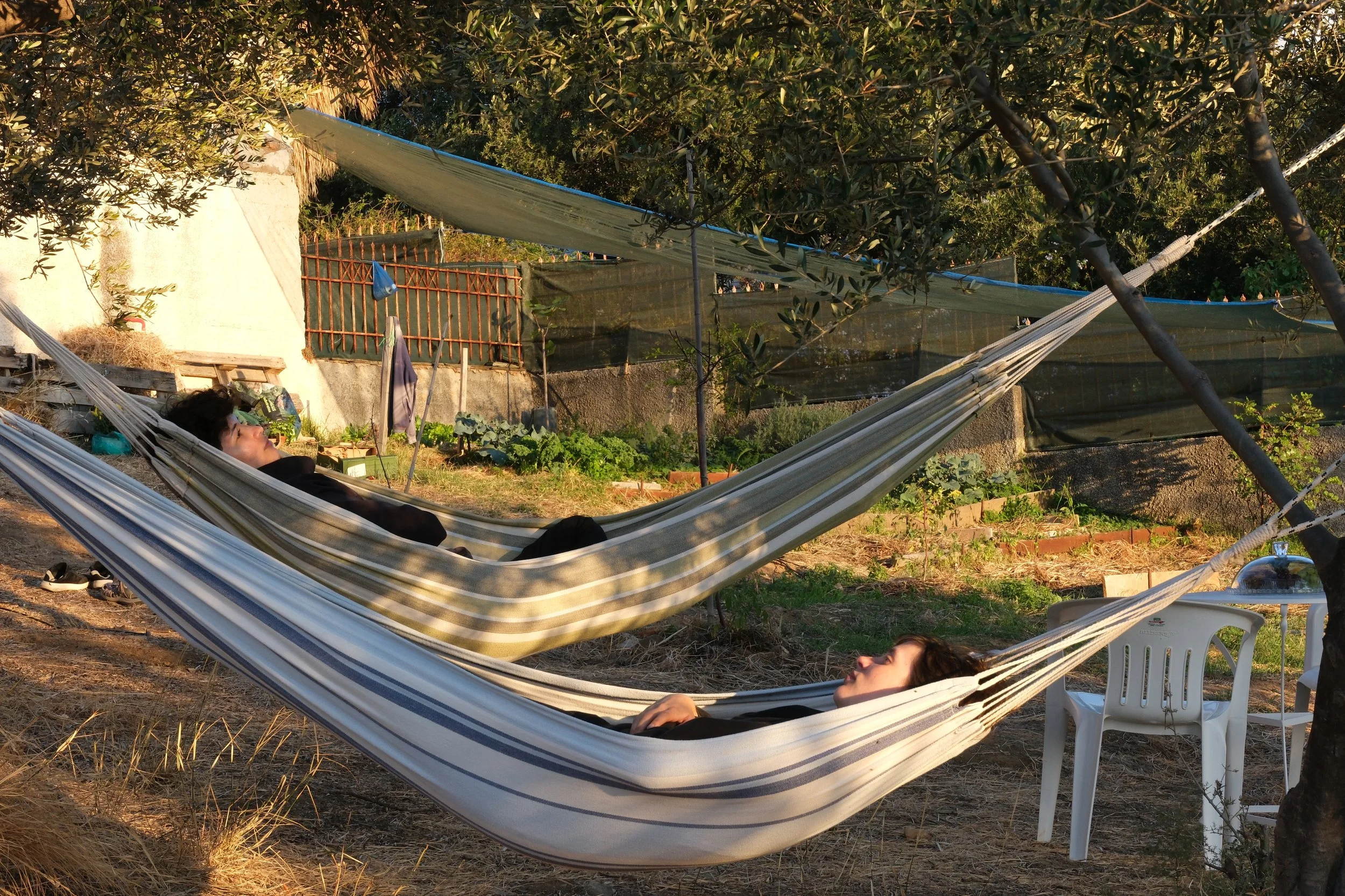  Photography by  Orestis Seferoglou  