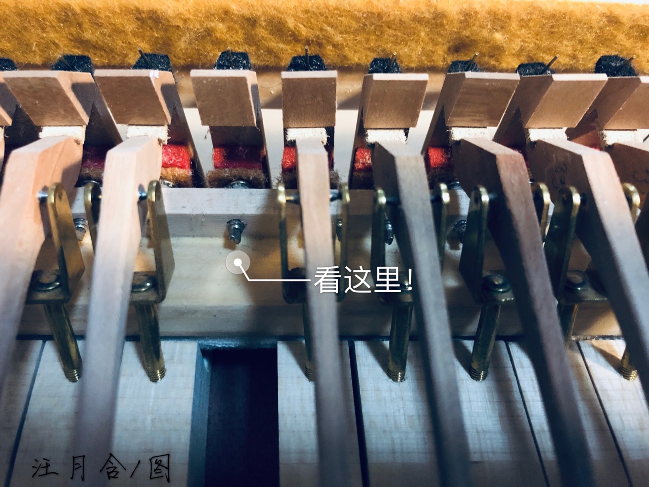圖14