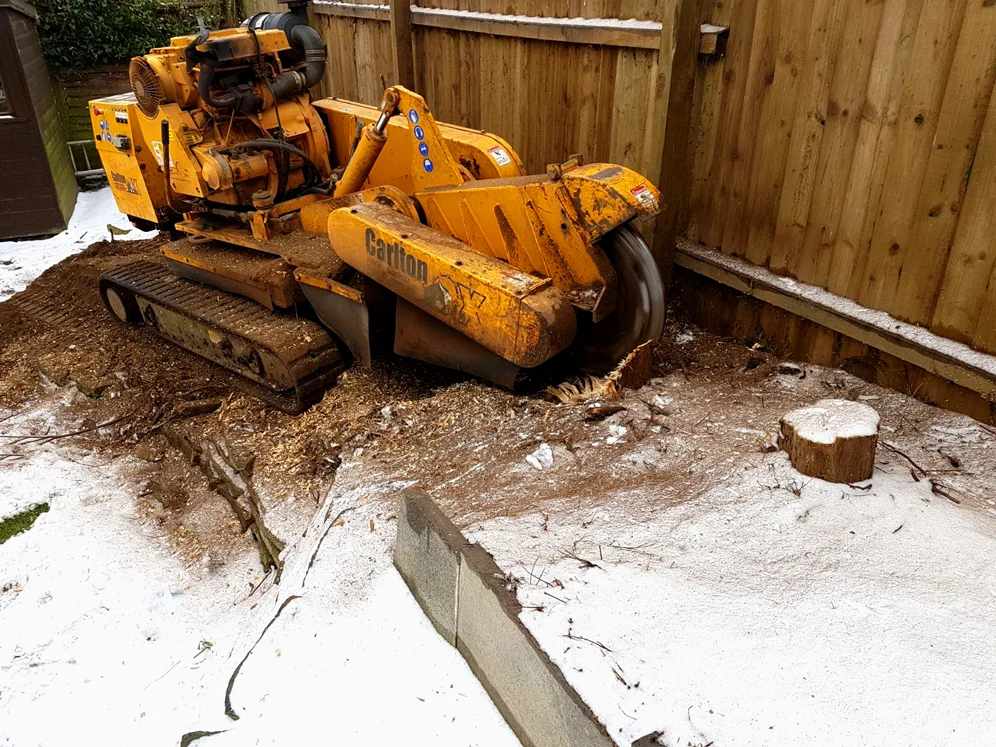 Stump-Removal.png