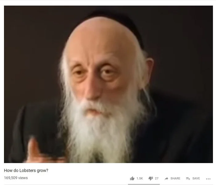 Three Things To Learn From The Lobster