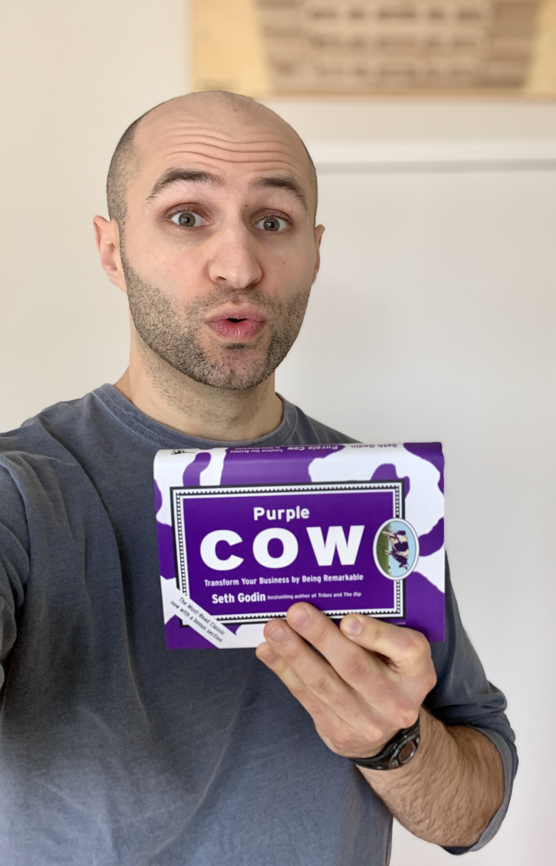 How To Be Remarkable (Purple Cow by Seth Godin)