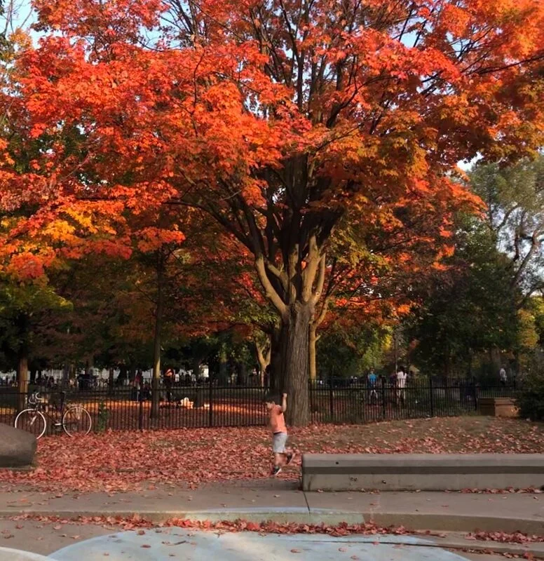 🙌 Connection and Leadership