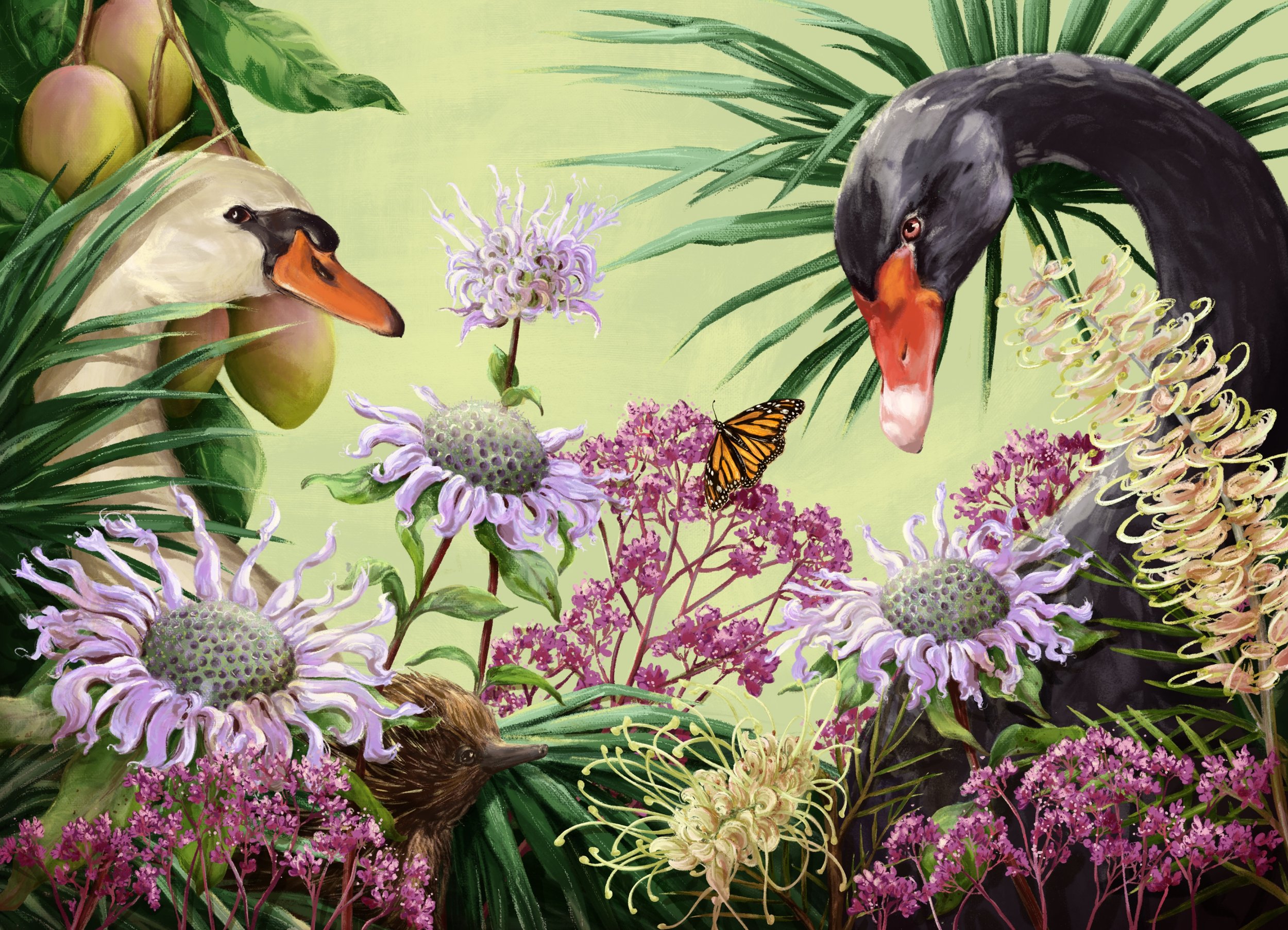 Custom Cover illustration For Harper Collins 
