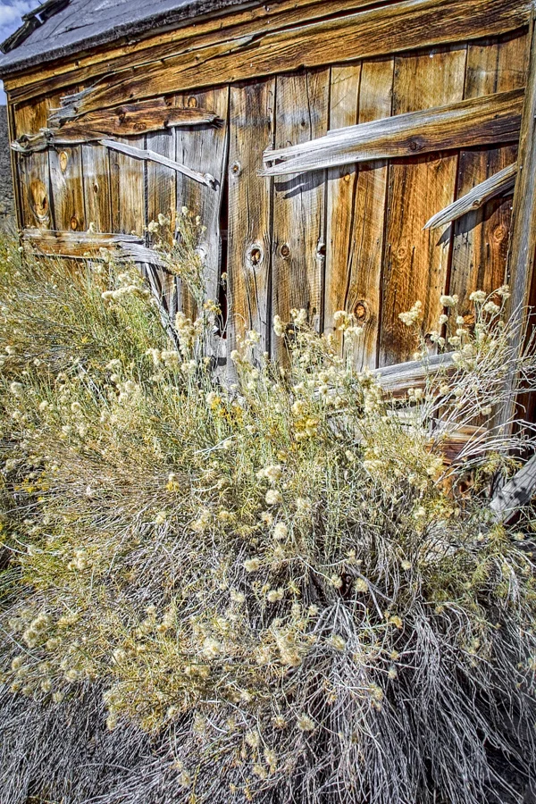 3527_RT16-Edit-Edit-2.jpg