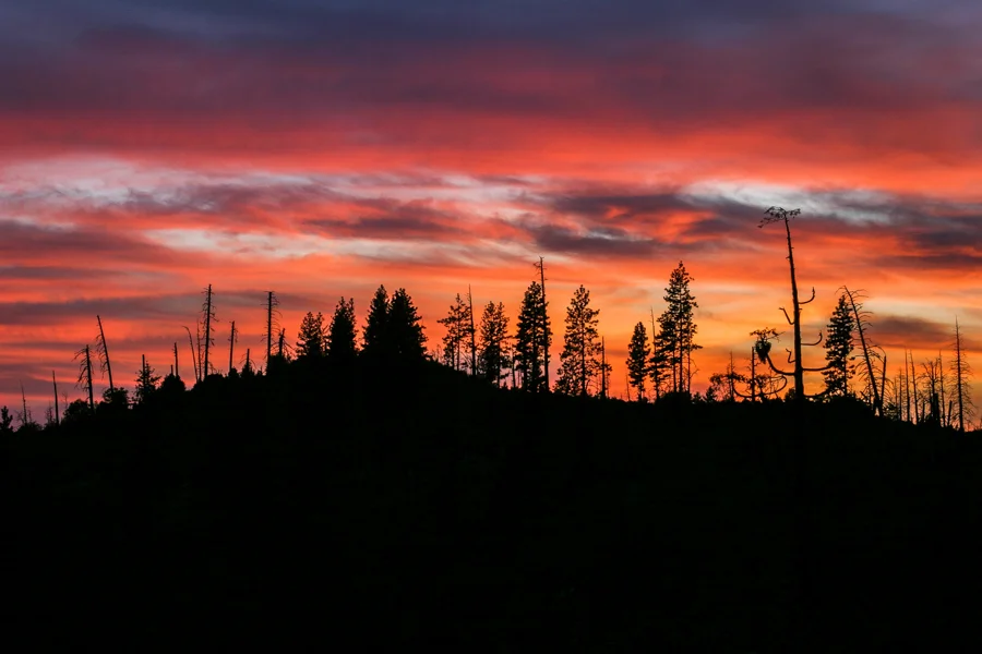 CRW_5431_RT16-Edit.jpg