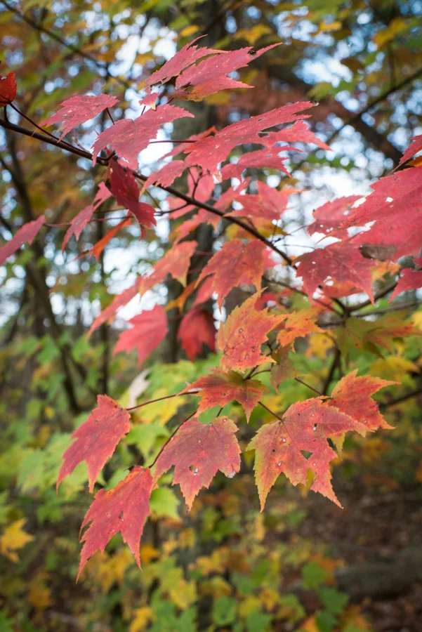 DSC_2048.jpg