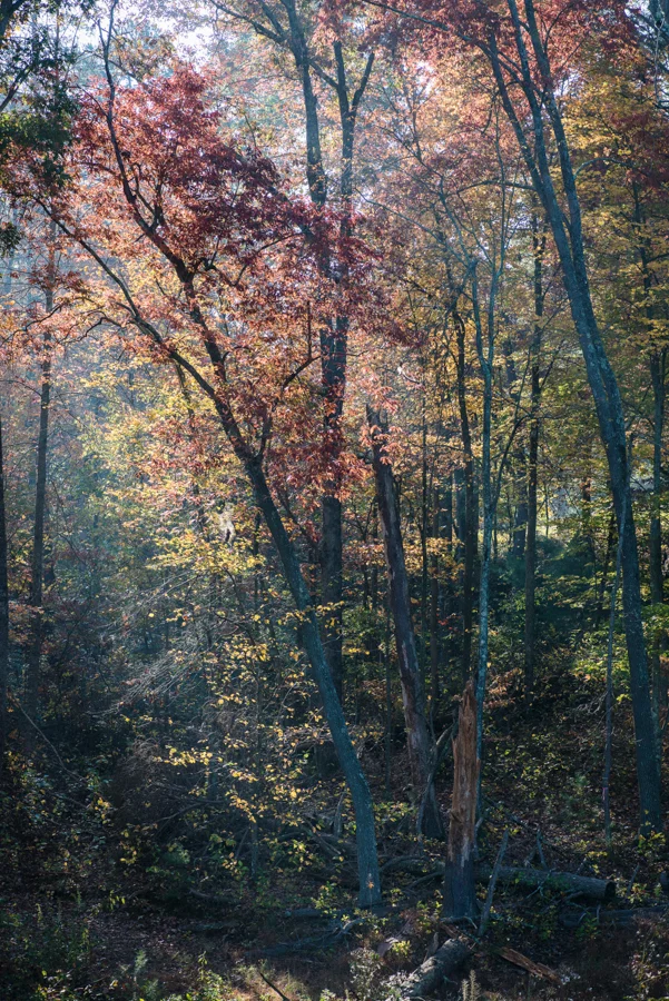 DSC_2088.jpg