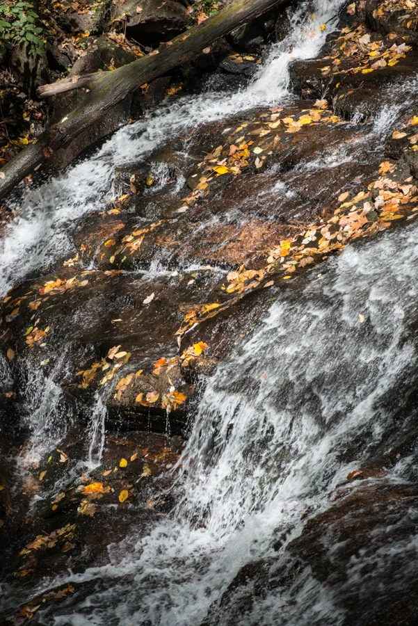 DSC_2211.jpg