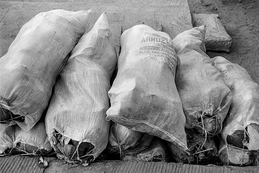 Coconuts.jpg