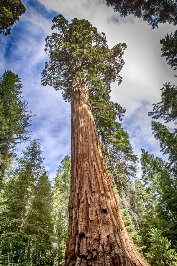3406_RT16_HDR.jpg