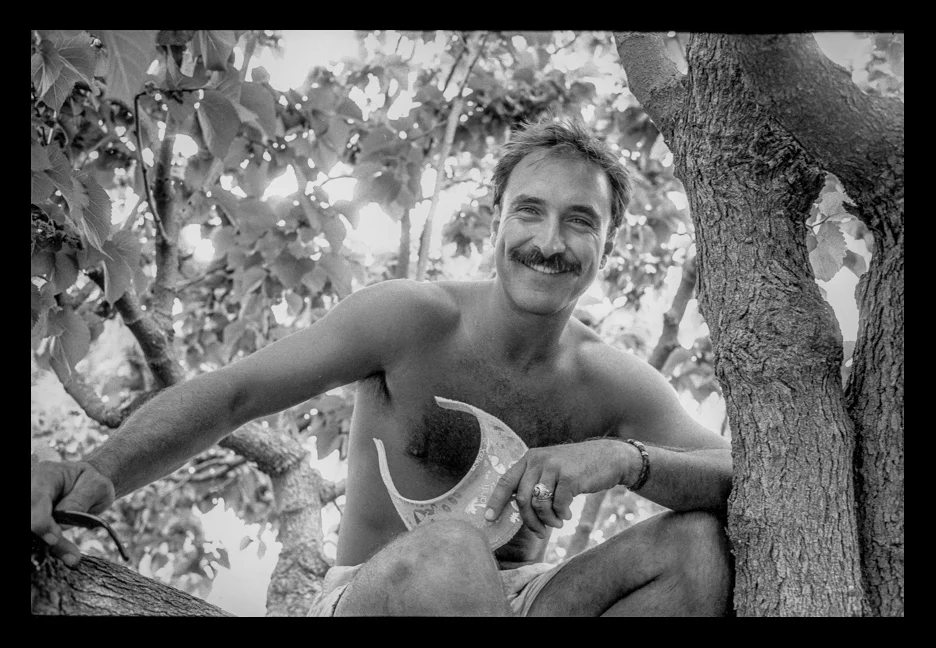 Don Zub018.jpg