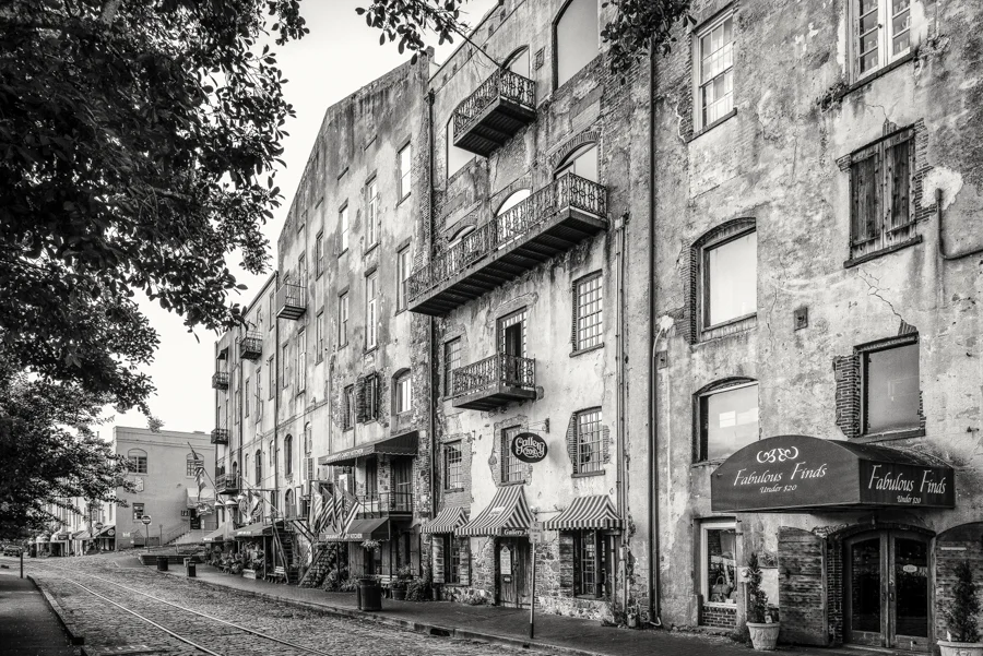 Savannah-4380-Edit-Edit.jpg