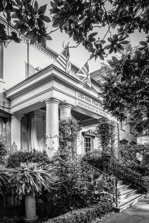 Savannah-4418_edit1-Edit.jpg