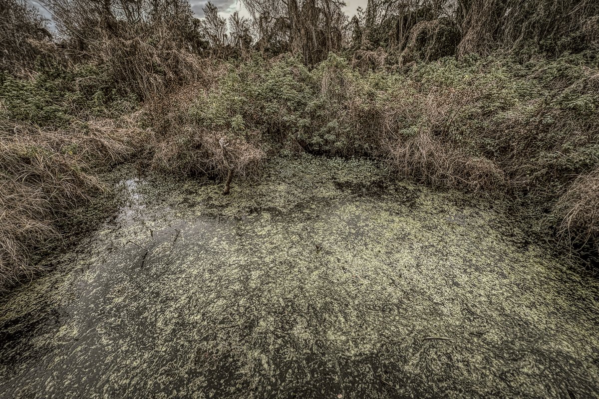 Frigid, Florida 2026-4.jpg