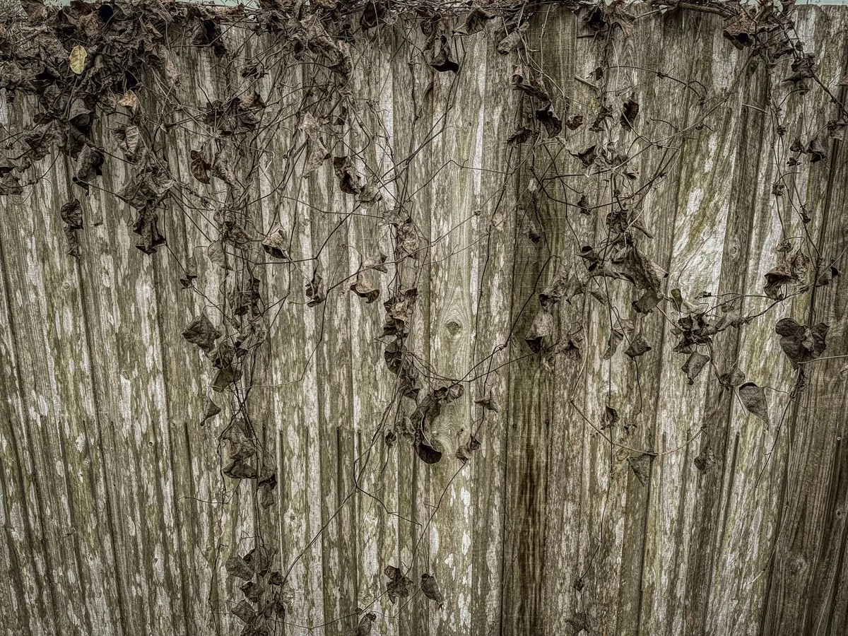 Frigid, Florida 2026-5.jpg