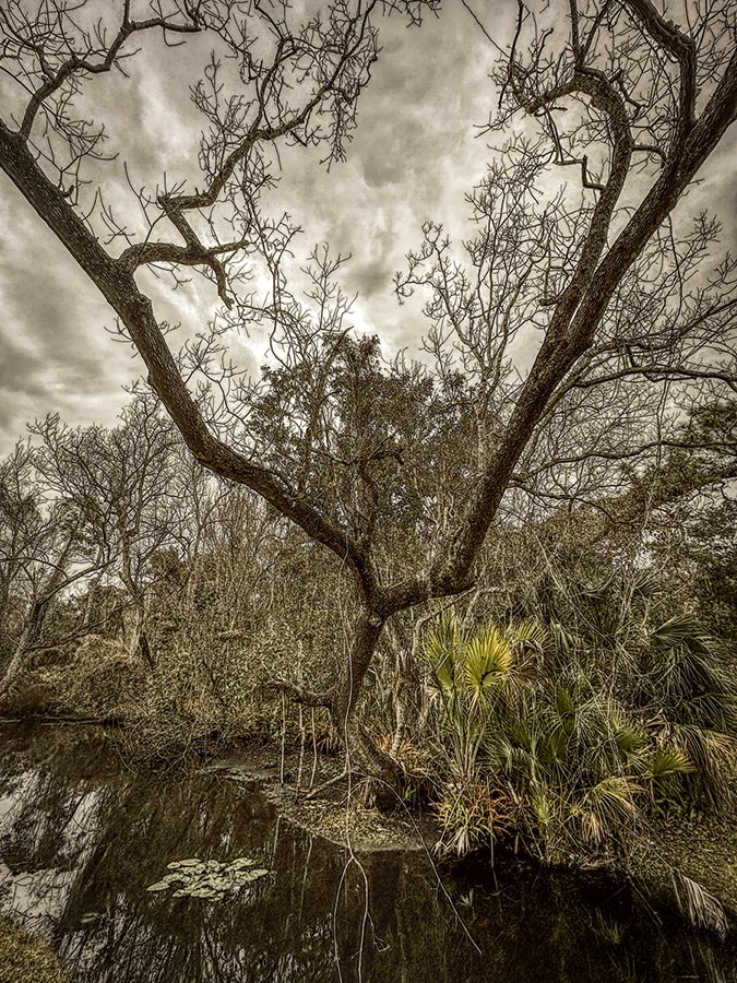 Frigid, Florida 2026-6.jpg