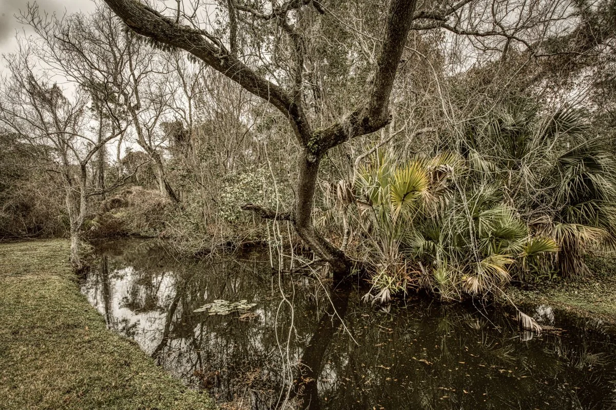 Frigid, Florida 2026-7.jpg