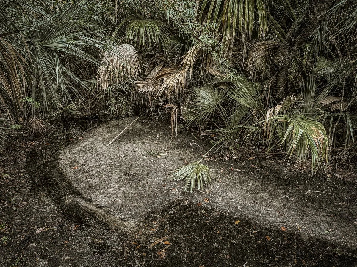 Frigid, Florida 2026-9.jpg