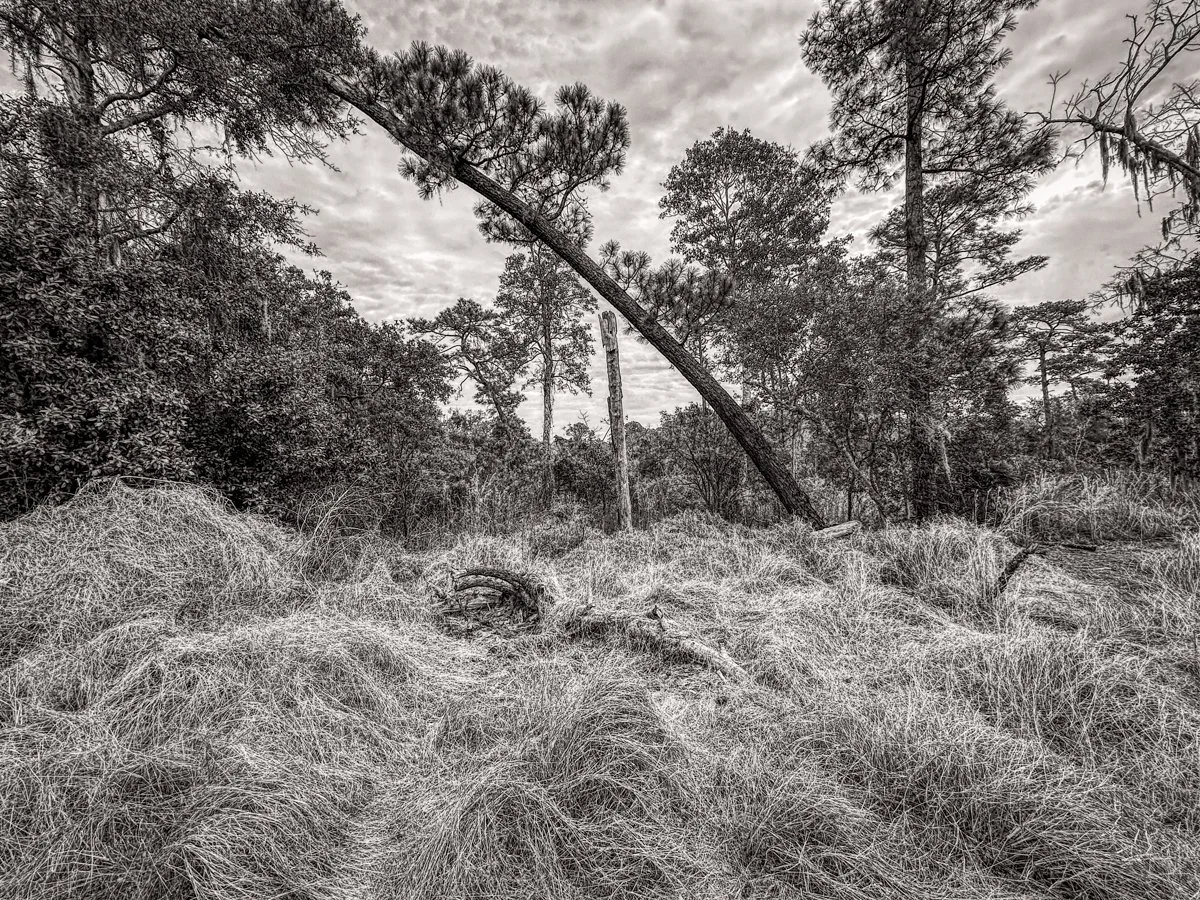 Casselberry Trail-1.jpg