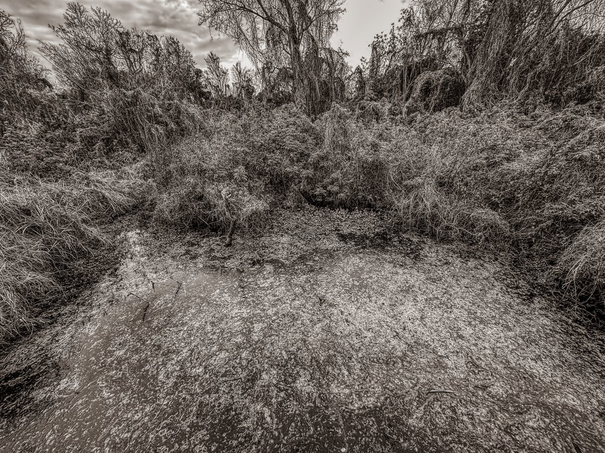 Casselberry Trail-4.jpg