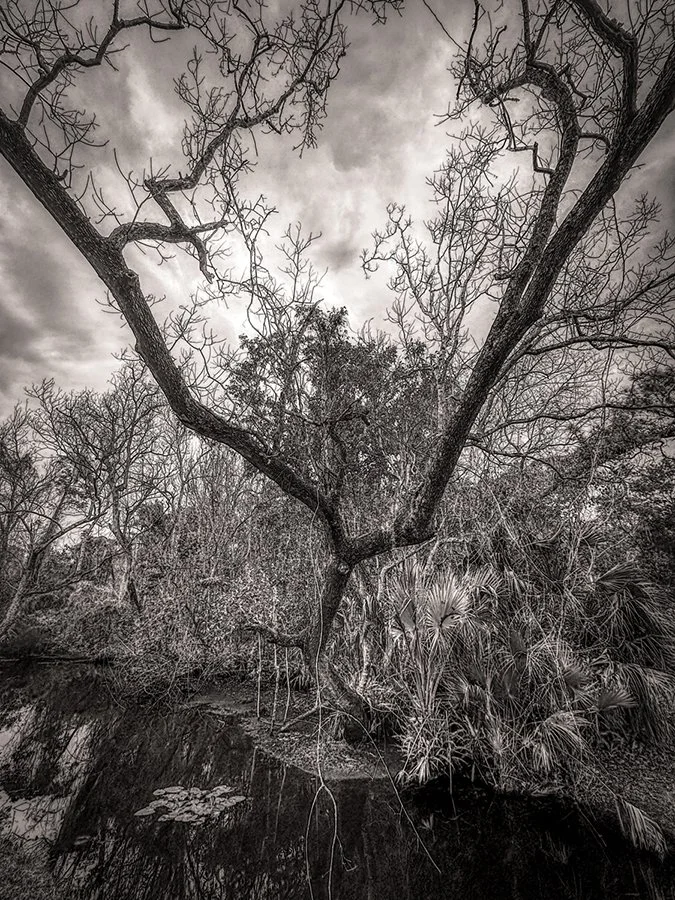 Casselberry Trail-5.jpg