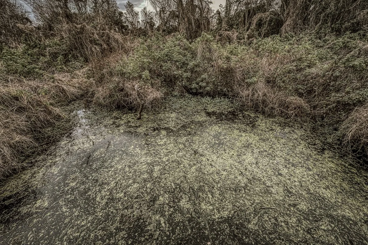 Frigid, Florida 2026-4.jpg