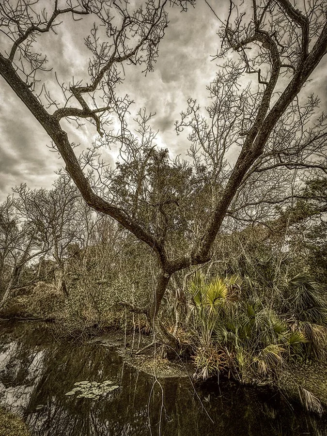 Frigid, Florida 2026-6.jpg